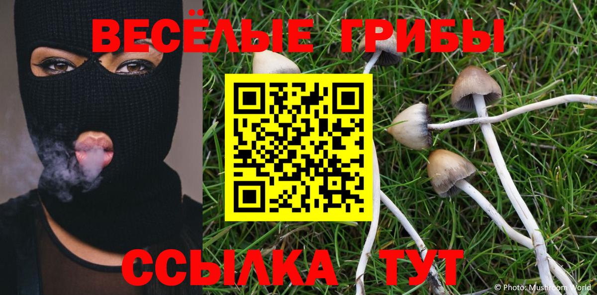 Галлюциногенные грибы GOLDEN TEACHER Каменск-Шахтинский