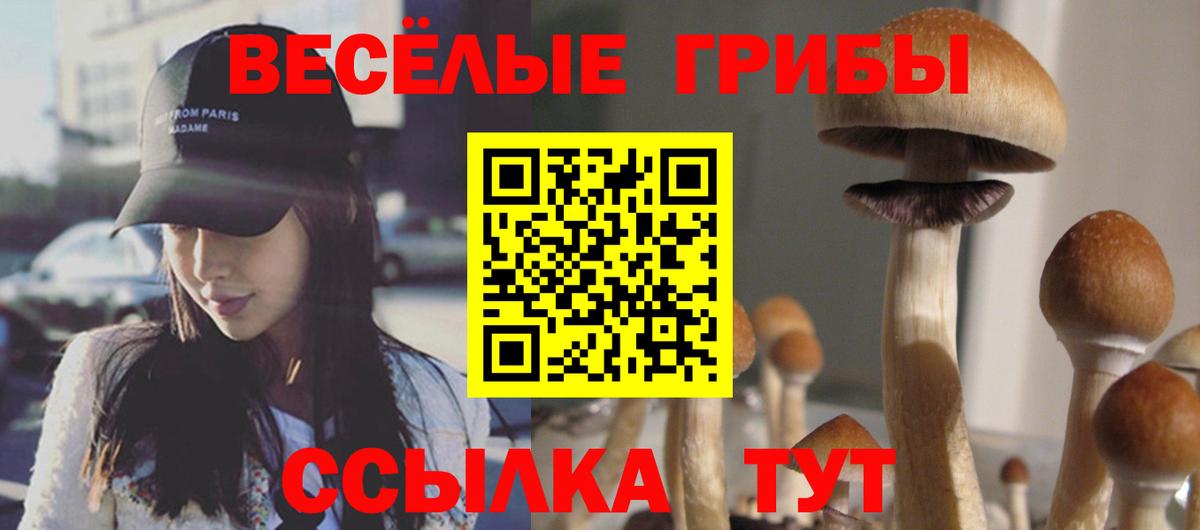 Псилоцибиновые грибы GOLDEN TEACHER  Вход с VPN  Каменск-Шахтинский  Псилоцибиновые грибы MAGIC MUSHROOMS 